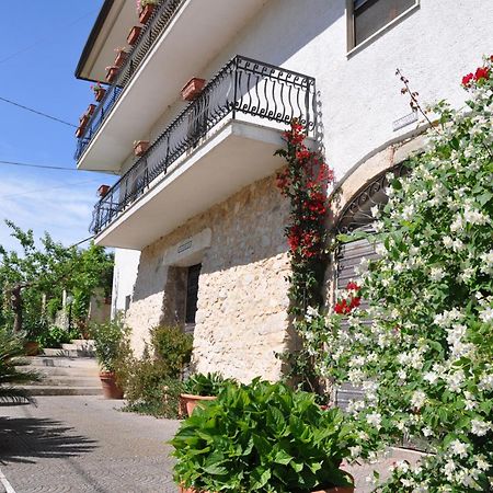 B&B La Palombara Giuliano di Roma Exterior photo