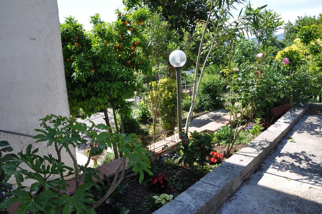 B&B La Palombara Giuliano di Roma Exterior photo